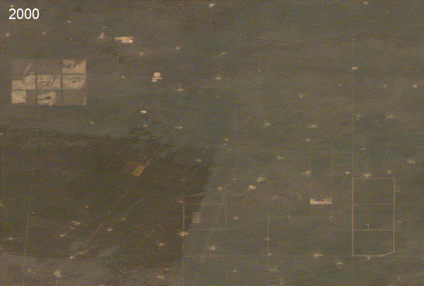 image-alt